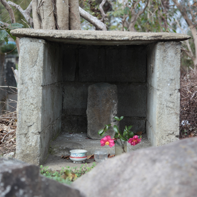 kuwahara_sekkantou