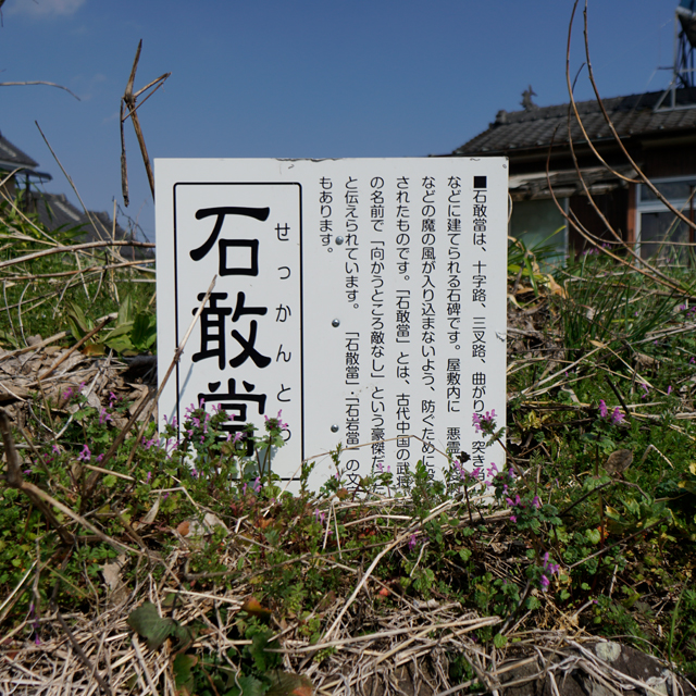 _DSC9639_samune